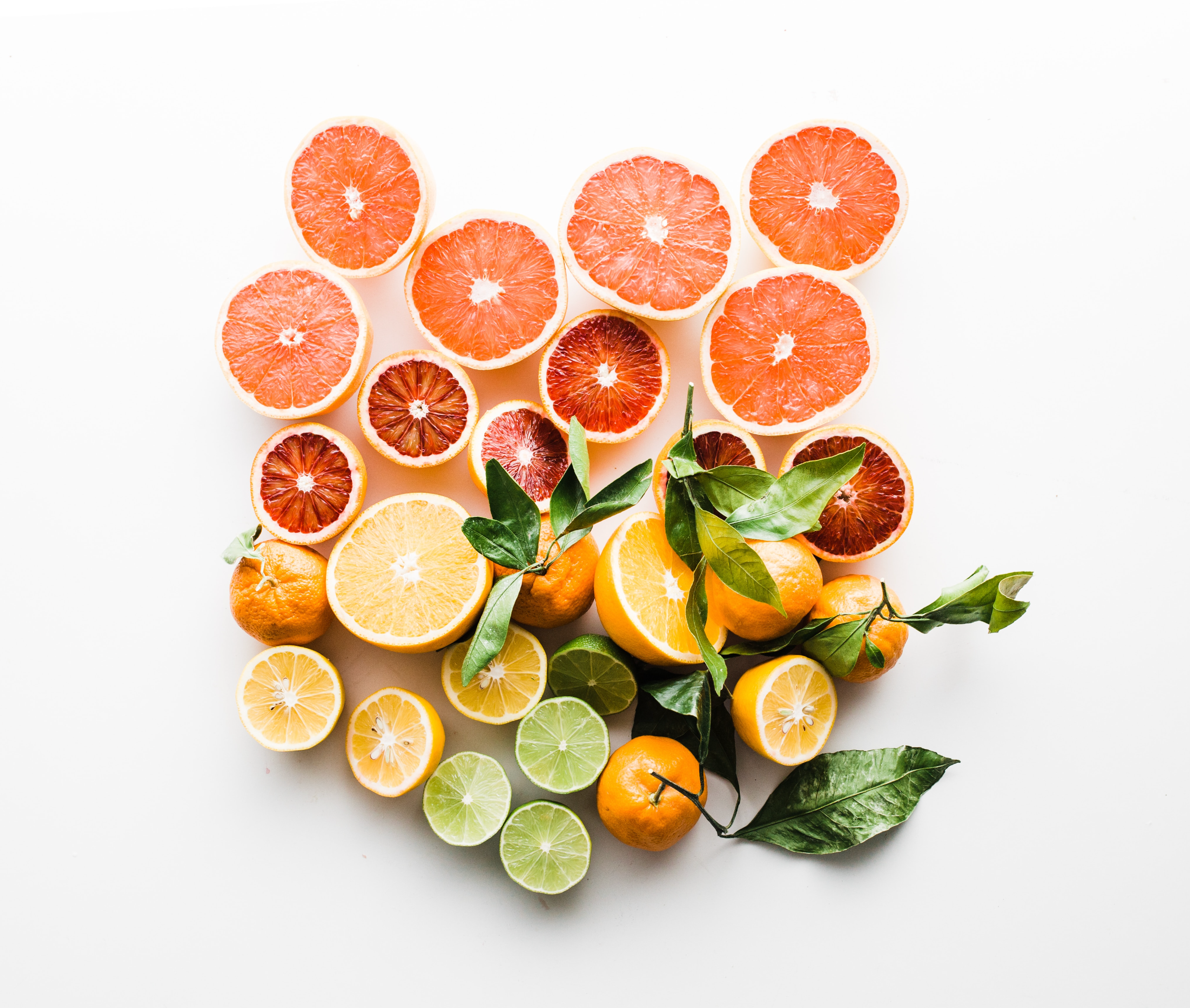 What are Terpenes?